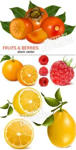 Fruit vector