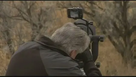 Kelby Training - Yellowstone Big Game Photography with Moose Peterson [repost]