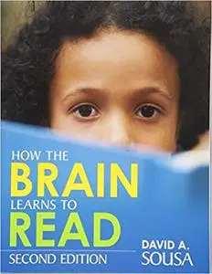 How the Brain Learns to Read
