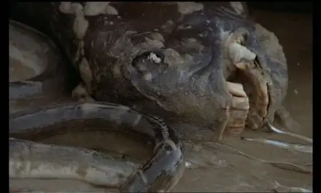 Le Tambour (1979)
