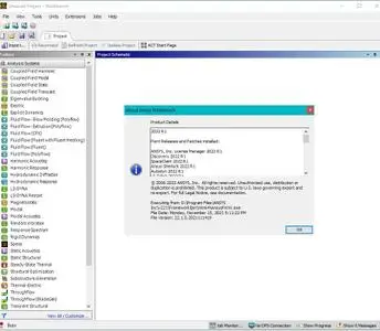 ANSYS Products 2022 R1 with Documentation