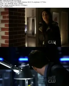 Nikita S01E16