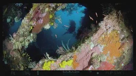 The Underwater Pixelguide / Подводный учебник по пикселям (2012) 