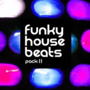 Loopmasters Funky House Beats Vol 2 WAV REX