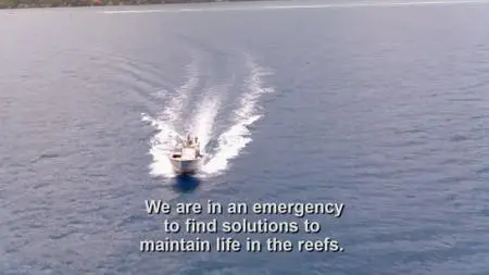 PBS - NOVA: Reef Rescue (2021)