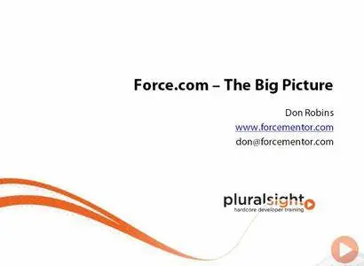 Force.com Platform - The Big Picture
