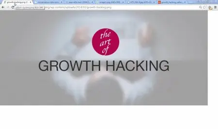 (NEW) The 2016 Complete Growth Hacking & Conversion Course