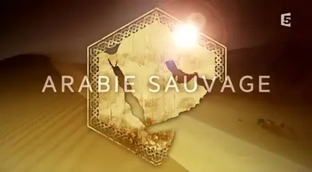 (Fr5) Arabie sauvage (2014)