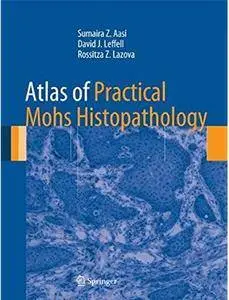 Atlas of Practical Mohs Histopathology [Repost]