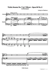 Violin Sonata No. 7 in C Minor, 1st Movement: Allegro con brio