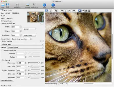 BenVista PhotoZoom Pro 6.0.2 Mac OS X