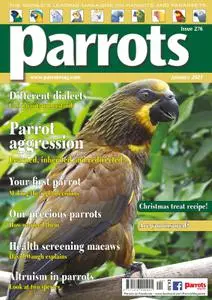 Parrots – January 2021