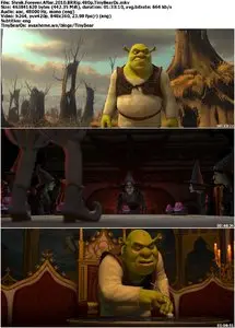 Shrek Forever After (2010) [Reuploaded]