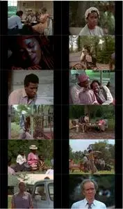 The Autobiography of Miss Jane Pittman (1974)