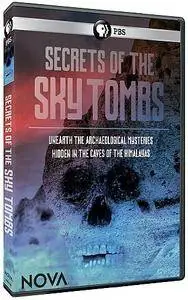 PBS - NOVA: Secrets of the Sky Tombs (2017)