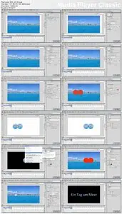 video2brain - Multimedia-Kommunikation mit Flash Professional CS6