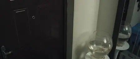 My Airhostess Roomate (2009)