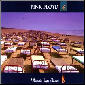 Pink Floyd: A Momentary Lapse of Reason [96/24 Stereo LP Rip]