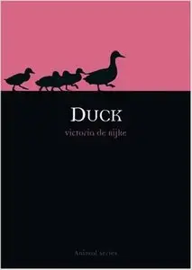 Duck (Animal) (repost)