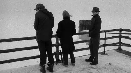 Stranger Than Paradise (1984) [Remastered, The Criterion Collection]