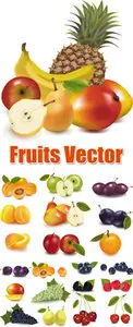 Fruits Vector