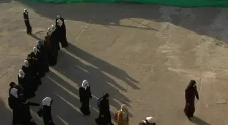 The Colour of Olives (2006)