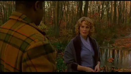 Far from Heaven (2002)