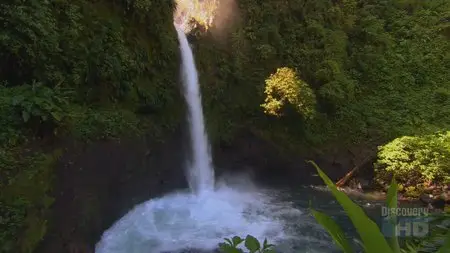 Discovery. Sunrise Earth - 33. Cloudforest Waterfall