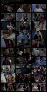 Grey's Anatomy S07E20
