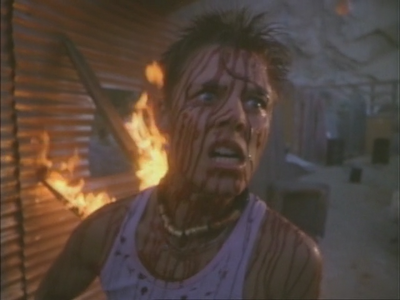 Phoenix the Warrior (1988) 