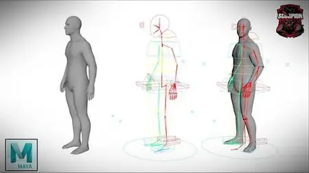 Character Rigging Crash Course In Maya For Intermediate User