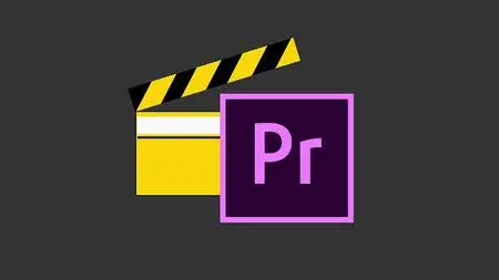Professional Video Editing on Adobe Premiere Pro- 2023