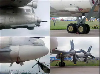 TU-95MS Walk Around