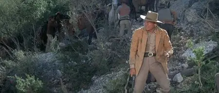 Bandolero! (1968)