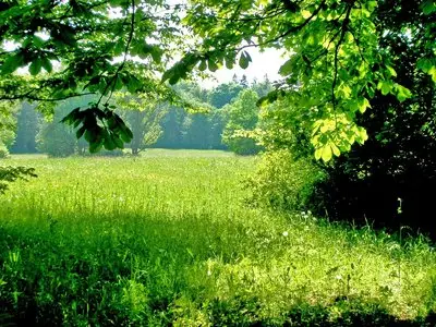 Wallpapers - Nature (pack 13) 