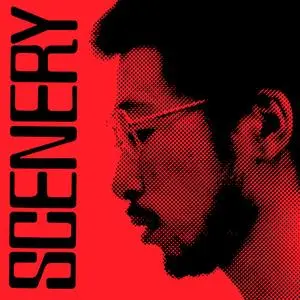 Ryo Fukui - Scenery (Vinyl) (1976/2018) [24bit/192kHz]