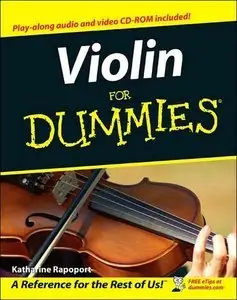 Violin For Dummies (repost)