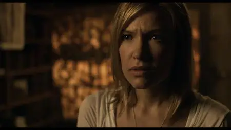 30 Days of Night: Dark Days (2010)