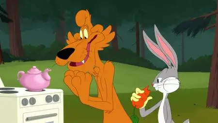 Looney Tunes Cartoons S04E25