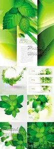 Abstract Green Leaves Vector