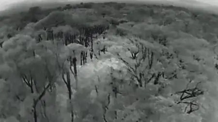 Extinct or Alive S02E05