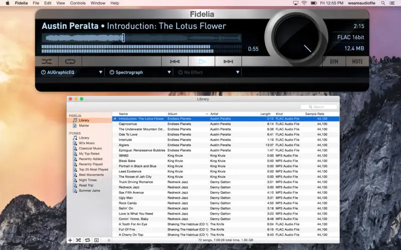 Fidelia 1 6 1 – Music Player