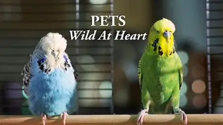 BBC - Pets: Wild at Heart (2015)