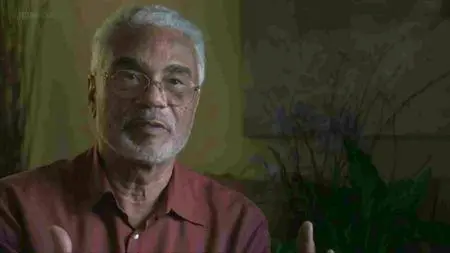 BBC - Storyville: The Black Panthers (2016)