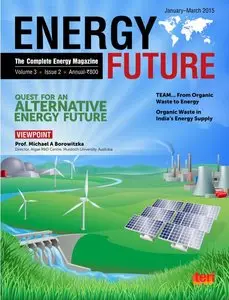 Energy Future - January-March 2015