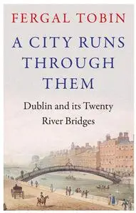A City Runs Through Them: Dublin and its Twenty River Bridges