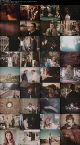 Stiletto (1969)