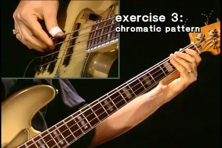 Accelerate Your Bass Playing Featuring Anthony Vitti (2004)