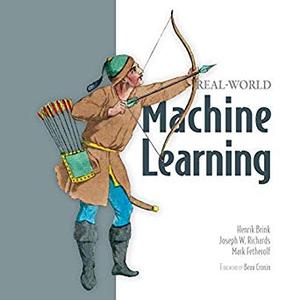Real-World Machine Learning [Audiobook]