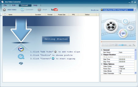 Any Video Converter Professional 3.5.1 Multilanguage Portable